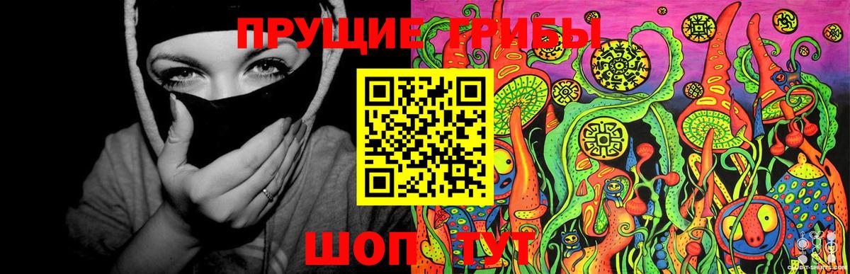Псилоцибиновые грибы MAGIC MUSHROOMS Ртищево
